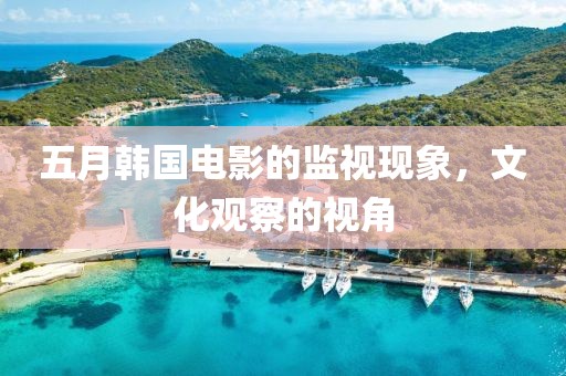 五月韩国电影的监视现象，文化观察的视角