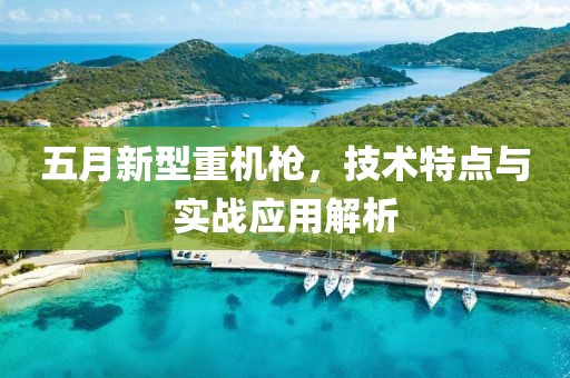 五月新型重机枪，技术特点与实战应用解析