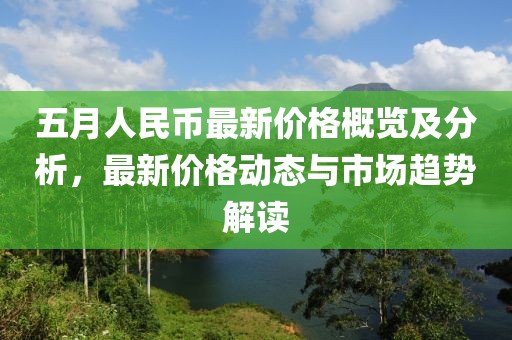 五月人民币最新价格概览及分析，最新价格动态与市场趋势解读