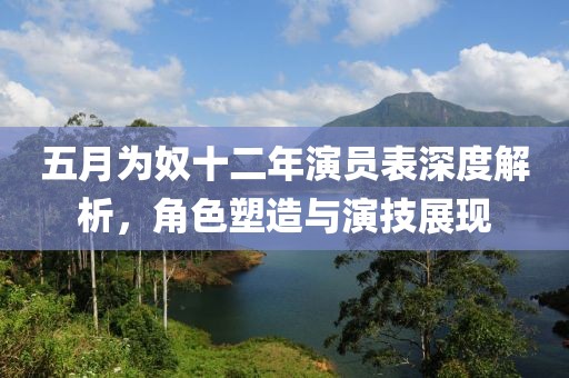 五月为奴十二年演员表深度解析，角色塑造与演技展现