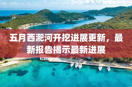 五月西淝河开挖进展更新，最新报告揭示最新进展