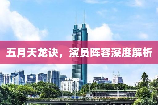 五月天龙诀，演员阵容深度解析