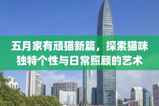 五月家有顽猫新篇，探索猫咪独特个性与日常照顾的艺术
