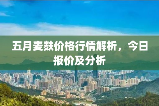 五月麦麸价格行情解析，今日报价及分析