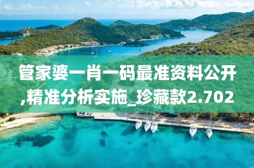 管家婆一肖一码最准资料公开,精准分析实施_珍藏款2.702