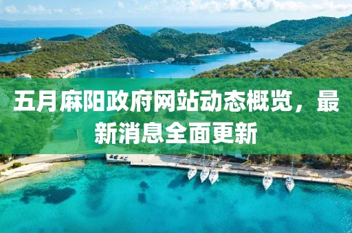 五月麻阳政府网站动态概览，最新消息全面更新
