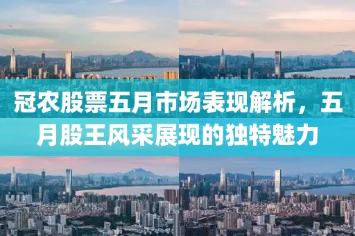 冠农股票五月市场表现解析，五月股王风采展现的独特魅力