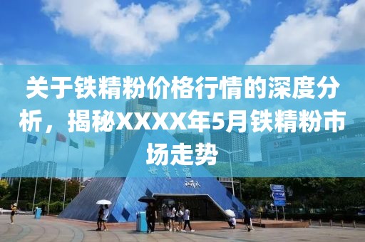 关于铁精粉价格行情的深度分析，揭秘XXXX年5月铁精粉市场走势
