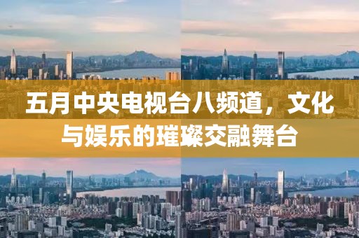 五月中央电视台八频道，文化与娱乐的璀璨交融舞台