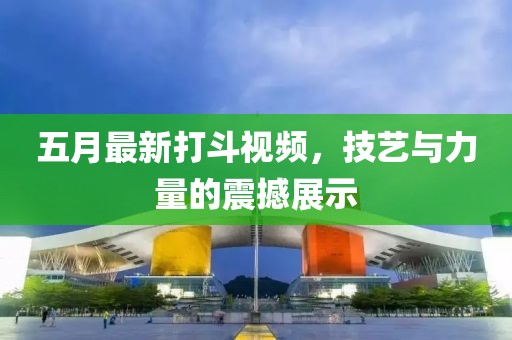 五月最新打斗视频，技艺与力量的震撼展示
