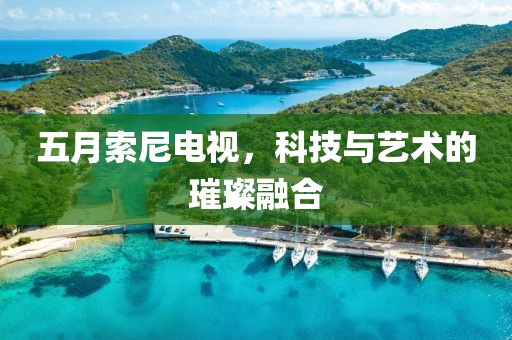 五月索尼电视，科技与艺术的璀璨融合