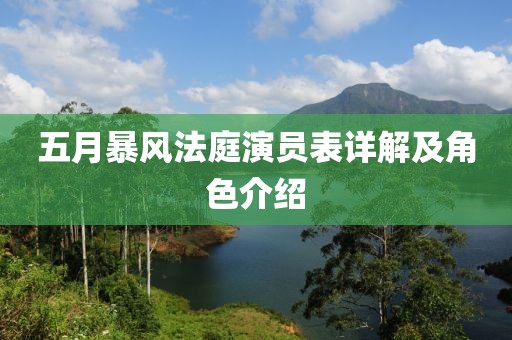 五月暴风法庭演员表详解及角色介绍