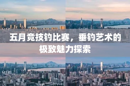 五月竞技钓比赛，垂钓艺术的极致魅力探索