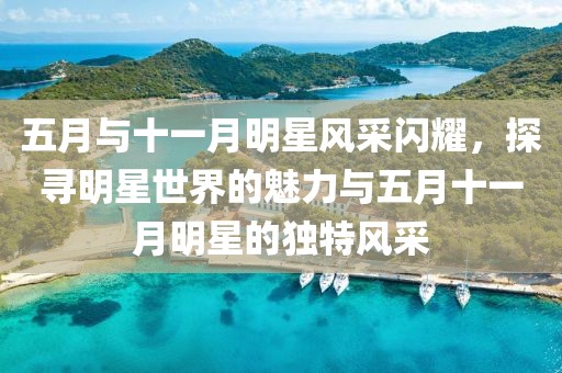 五月与十一月明星风采闪耀，探寻明星世界的魅力与五月十一月明星的独特风采