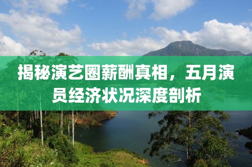 揭秘演艺圈薪酬真相，五月演员经济状况深度剖析