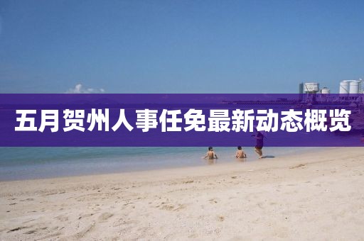 五月贺州人事任免最新动态概览