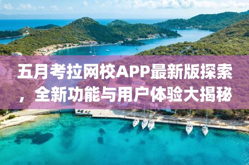 五月考拉网校APP最新版探索，全新功能与用户体验大揭秘
