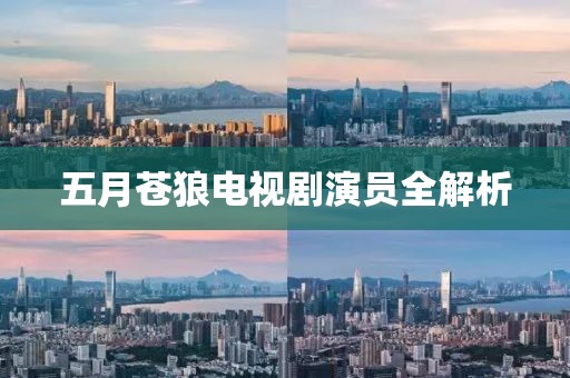 五月苍狼电视剧演员全解析