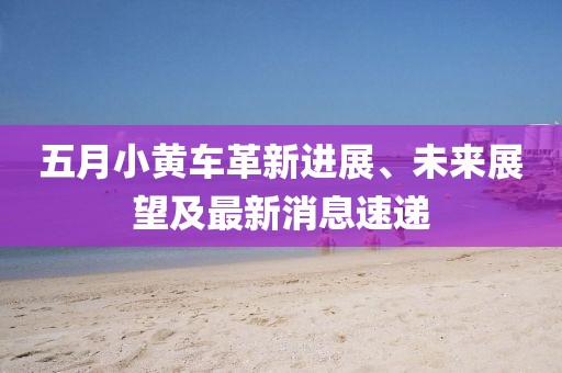 五月小黄车革新进展、未来展望及最新消息速递
