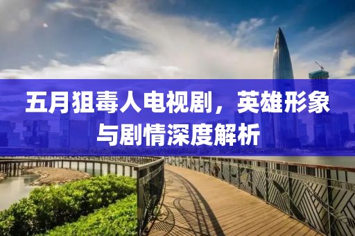 五月狙毒人电视剧，英雄形象与剧情深度解析