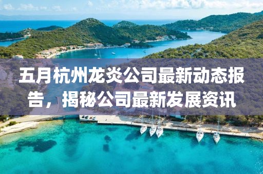五月杭州龙炎公司最新动态报告，揭秘公司最新发展资讯