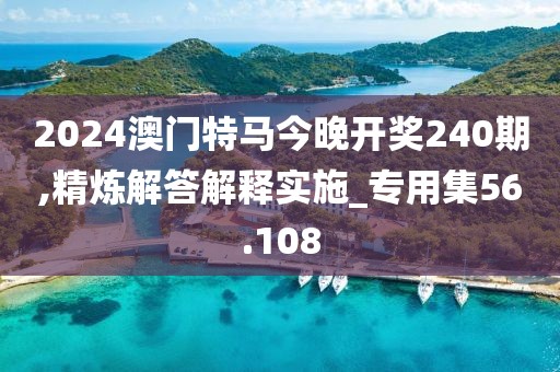 2024澳门特马今晚开奖240期,精炼解答解释实施_专用集56.108