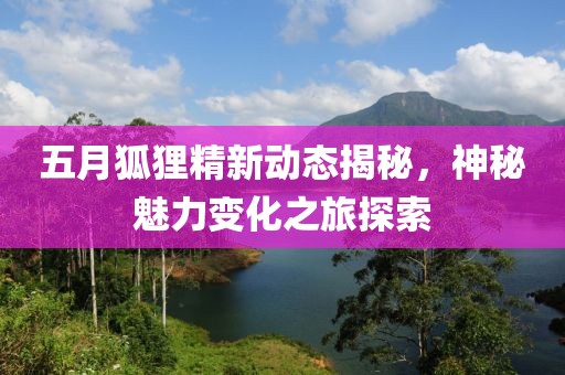 五月狐狸精新动态揭秘，神秘魅力变化之旅探索