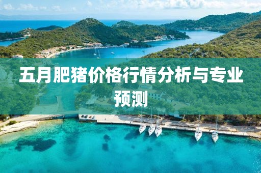 五月肥猪价格行情分析与专业预测