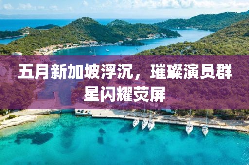 五月新加坡浮沉，璀璨演员群星闪耀荧屏
