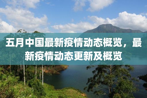 五月中国最新疫情动态概览，最新疫情动态更新及概览