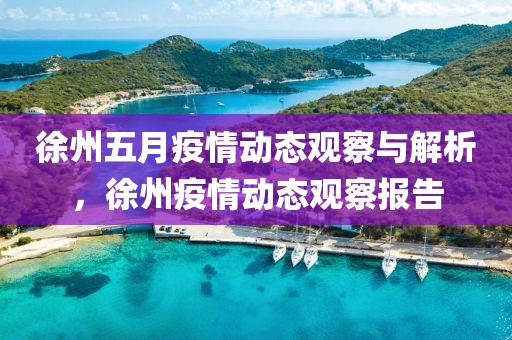 徐州五月疫情动态观察与解析，徐州疫情动态观察报告