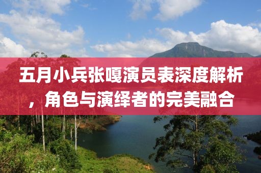 五月小兵张嘎演员表深度解析，角色与演绎者的完美融合