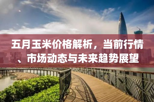 五月玉米价格解析，当前行情、市场动态与未来趋势展望