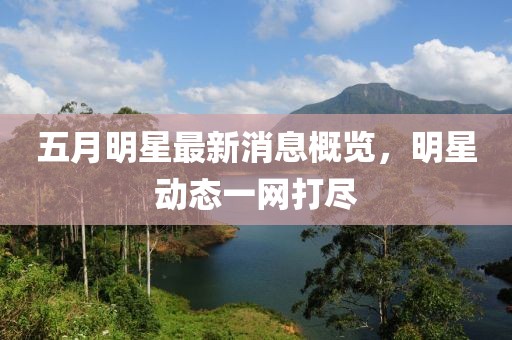 五月明星最新消息概览，明星动态一网打尽
