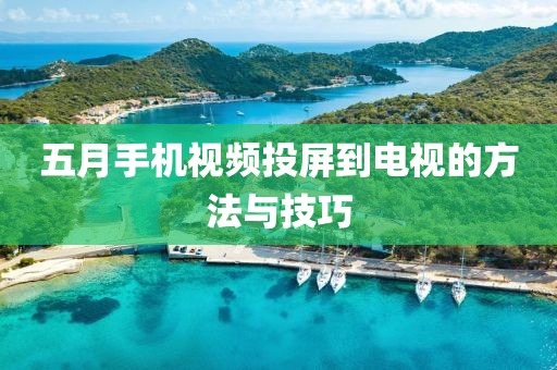 五月手机视频投屏到电视的方法与技巧
