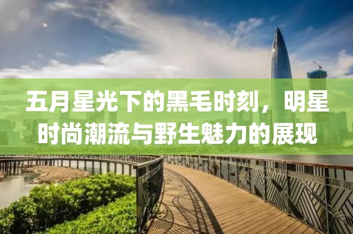 五月星光下的黑毛时刻，明星时尚潮流与野生魅力的展现