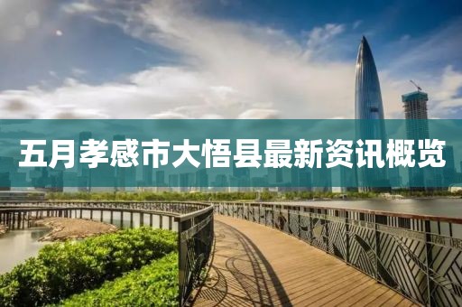五月孝感市大悟县最新资讯概览