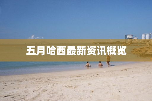 五月哈西最新资讯概览