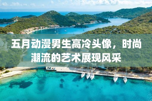 五月动漫男生高冷头像，时尚潮流的艺术展现风采