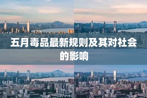五月毒品最新规则及其对社会的影响