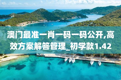 澳门最准一肖一码一码公开,高效方案解答管理_初学款1.42