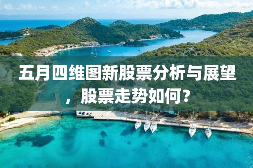 五月四维图新股票分析与展望，股票走势如何？