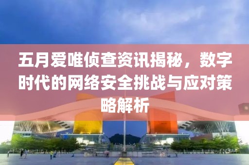 五月爱唯侦查资讯揭秘，数字时代的网络安全挑战与应对策略解析