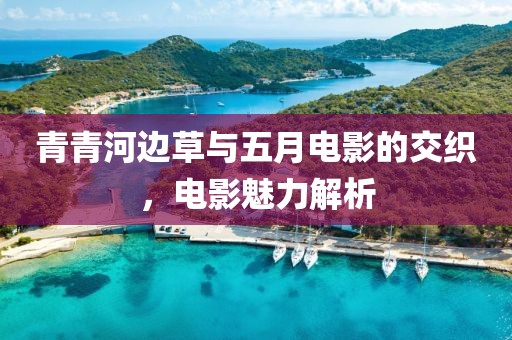 青青河边草与五月电影的交织，电影魅力解析