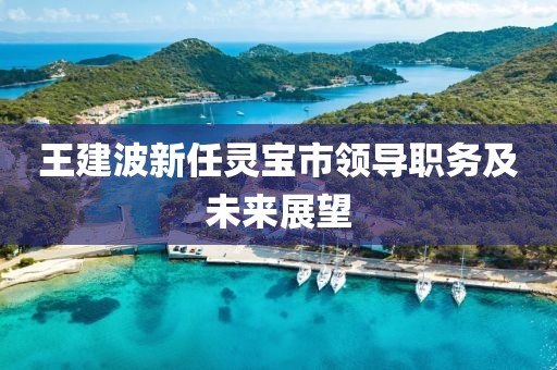 王建波新任灵宝市领导职务及未来展望