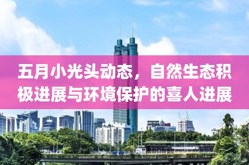 五月小光头动态，自然生态积极进展与环境保护的喜人进展