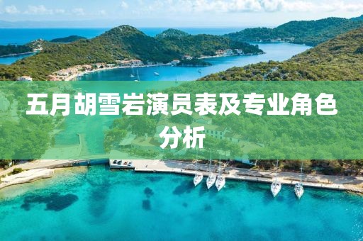 五月胡雪岩演员表及专业角色分析