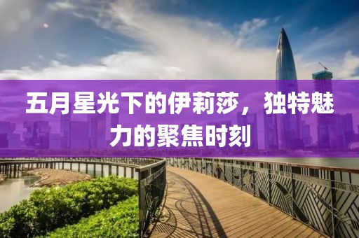 五月星光下的伊莉莎，独特魅力的聚焦时刻