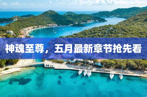 神魂至尊，五月最新章节抢先看