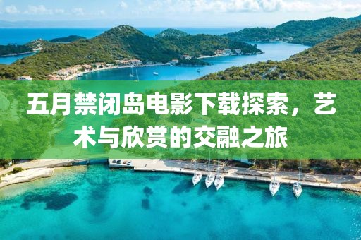 五月禁闭岛电影下载探索，艺术与欣赏的交融之旅